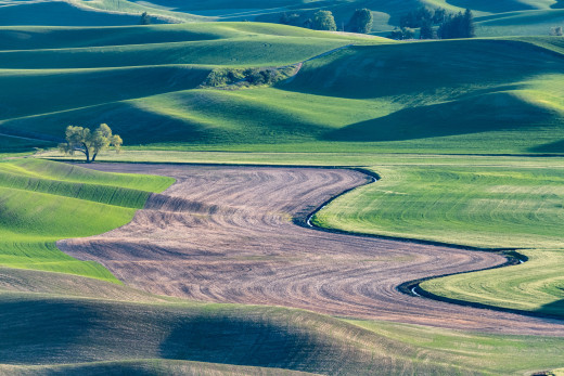 �1759464 �������(a): ����������:1920x1280